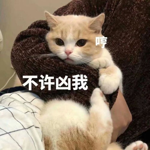 体脂的三个敌人,啤酒,烧烤,还有酱肘子我一顿全安排上了网易订阅