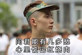 表情包斗图包怎么做韩信