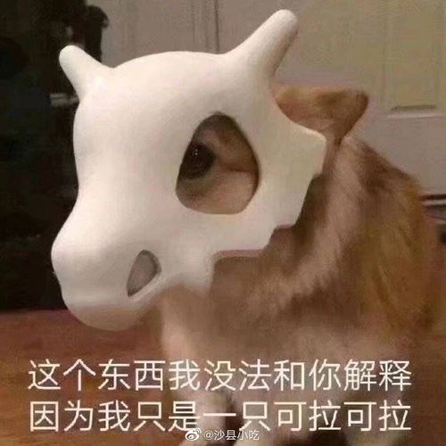 求推荐适合新手的化妆老师或者up主