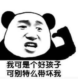 熊猫头表情我可是个好孩子,你别带坏了我
