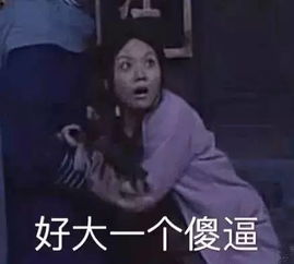证件照般的凝视