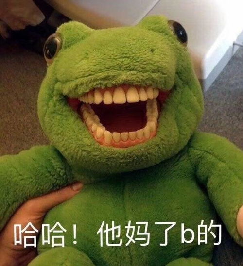 关晓彤长腿熊猫表情包学习