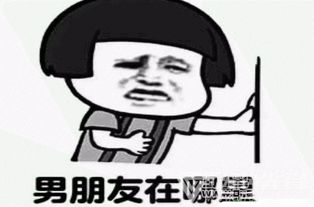 我男朋友人呢表情包我男朋友人呢表情图片v1.0绿色版