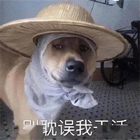 事关你升职加薪入深户在深圳可在职升专科本科非深户也能报