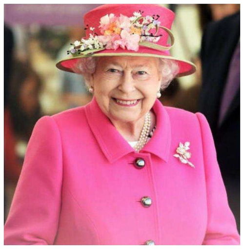 英国女王威严又不失亲和,酷爱靓丽的服装,太像七彩葫芦娃