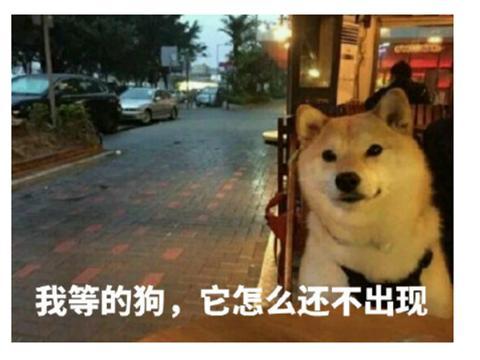 电竞圈最模范女友打拼5年助男友成战队老板,却连个包都不敢买