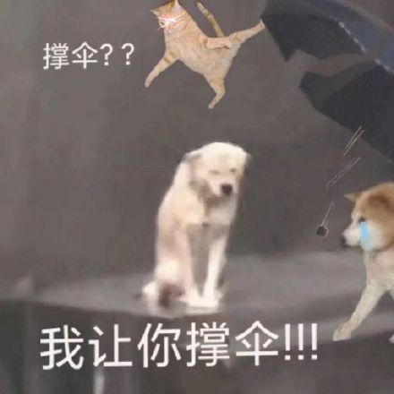 热门表情发表情,表情包大全fabiaoqing.com