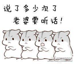 小仓鼠的爱老婆表情包