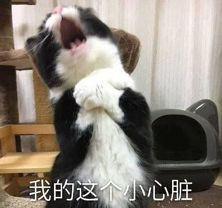 关于济南的自来水