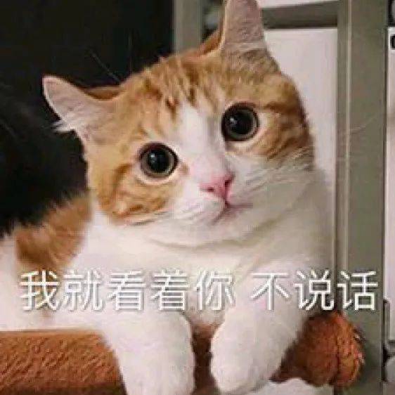 奇怪的表情又增加了