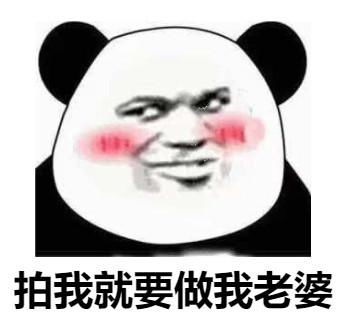 熊猫头关于拍一拍的表情包合集拍我就要做我老婆