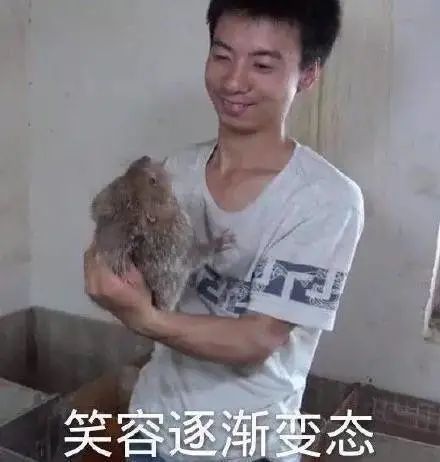 外地人眼中的广东蟑螂,哈哈哈不好意思,我的坐骑打扰到大家了