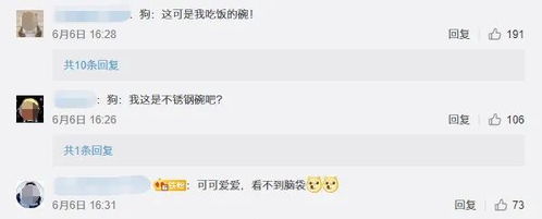 安排上了诺基亚表情包头盔