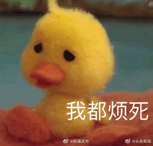你敢信下次放假就是2021年