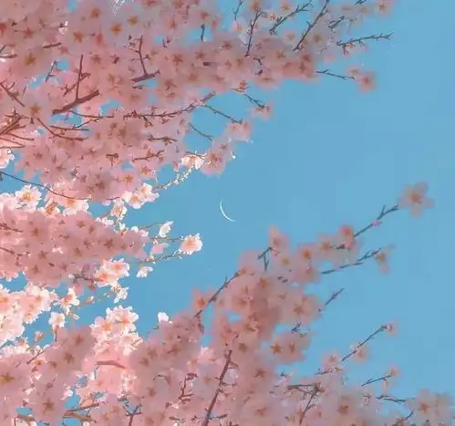 教师节一直听您讲,今天请您听我说说吧