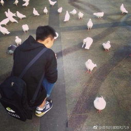 念念不忘,必有回响