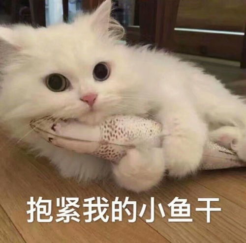 有哪些你单曲循环好久还听不厌的好歌