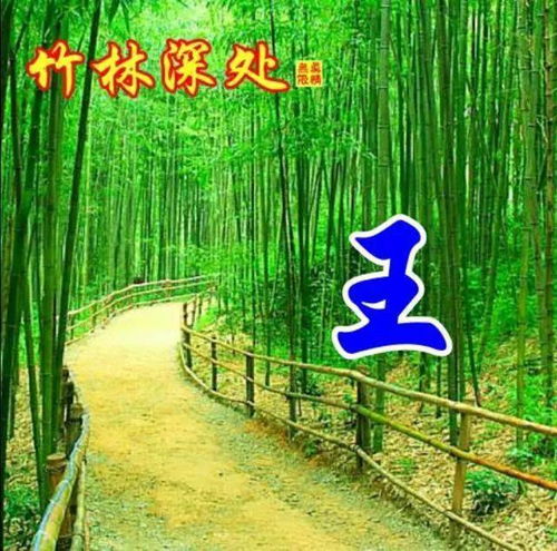 中老年头像大全110张流水生财姓氏头像,竹林深处有人家,几多幽静几多愁,竹林深处姓氏微信头像