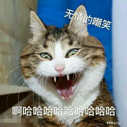 我可爱吗,关注一下可以吗