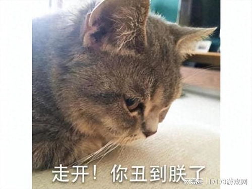 育碧一个操作让暴雪躺枪把去世小猫做进新游,网友感慨当年