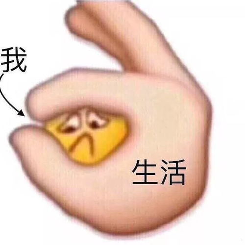 一东剪头发怎么样鸭,有推荐的tony不