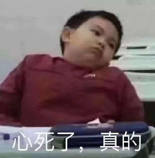 起来吧朕的籽岷表情包奶奶