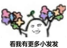 表情包送花