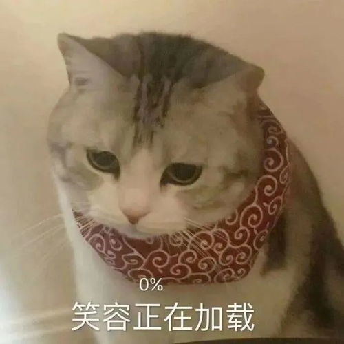 热门表情包大合集丨听我狡辩