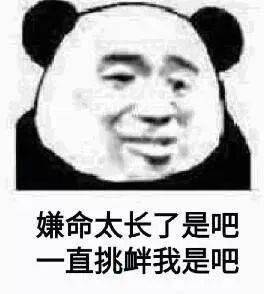 日常搞笑熊猫头表情包