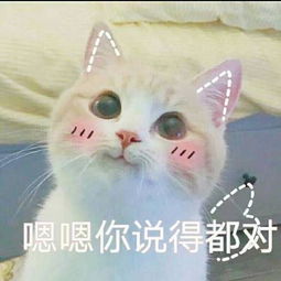 爸爸去哪儿第五季初步嘉宾名单曝光,你更喜欢哪对呢