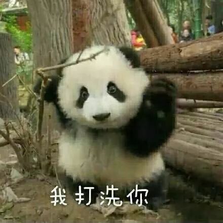 前方高能,萌主驾到