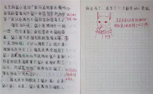 有哪些表情包作文