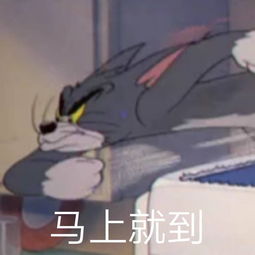 这是最全的猫和老鼠表情包快来抱走吧