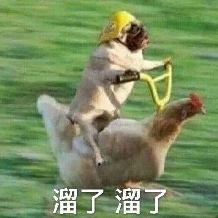 有哪些表情包表情包