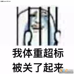 斗图动态表情包完整版完美体重