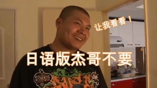 当某只怂猫直播烟火时.....