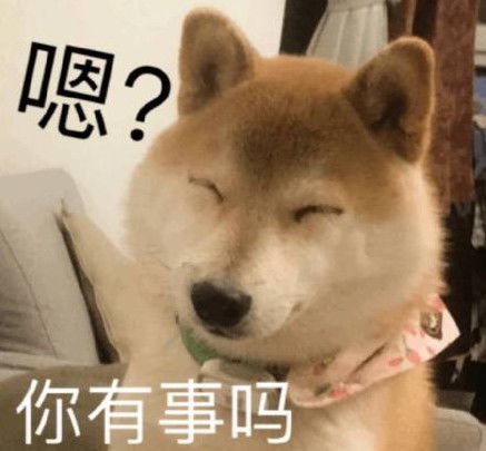 doge表情包微博蒋劲夫