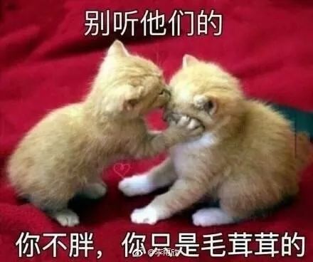 周杰伦回应长胖真相他放不下的奶茶,你放得下吗