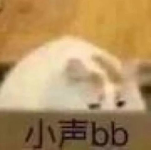 来自睫毛精的六款睫毛膏推荐