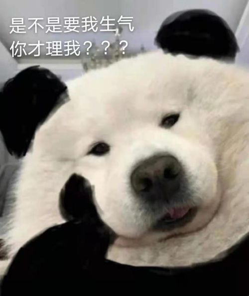 气死男朋友的表情包