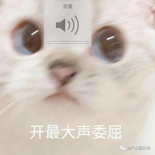 11月19日表情包合集