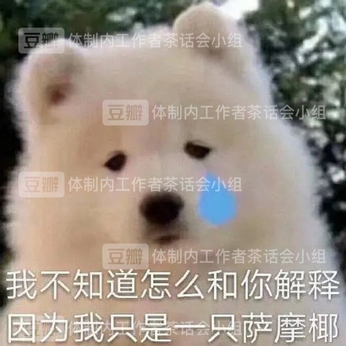办公室小贴士