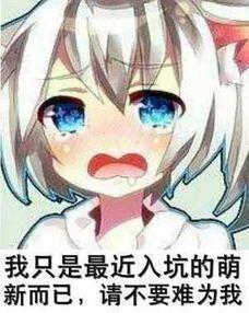 日常斗图36你骂我,我无所谓,我真希望你能打我
