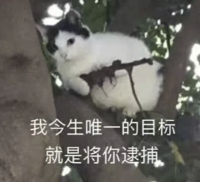 被称作儿童邪典的scp究竟是什么每个家长都应该知道