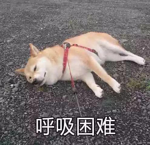 北京最新平均工资数据出炉密云小伙伴们,今年你达标了吗
