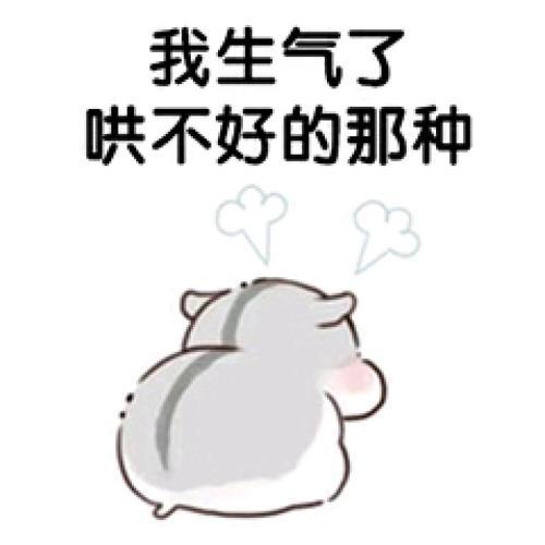 仓鼠表情包我生气啦,哄不好的那种