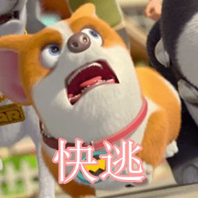 暴躁小狗,是要被做成表情包的