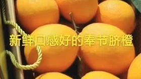 酸酸的甜甜的古法培育奉节脐橙甜出新高度哔哩哔哩干杯bilibili