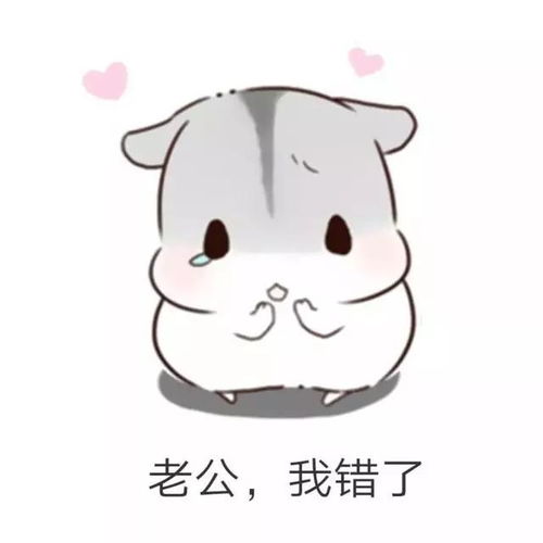 仓鼠套路表情包男朋友生气了该怎么哄