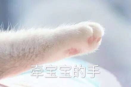 仙女们求安利适合旅游拍照的衣服不妥删